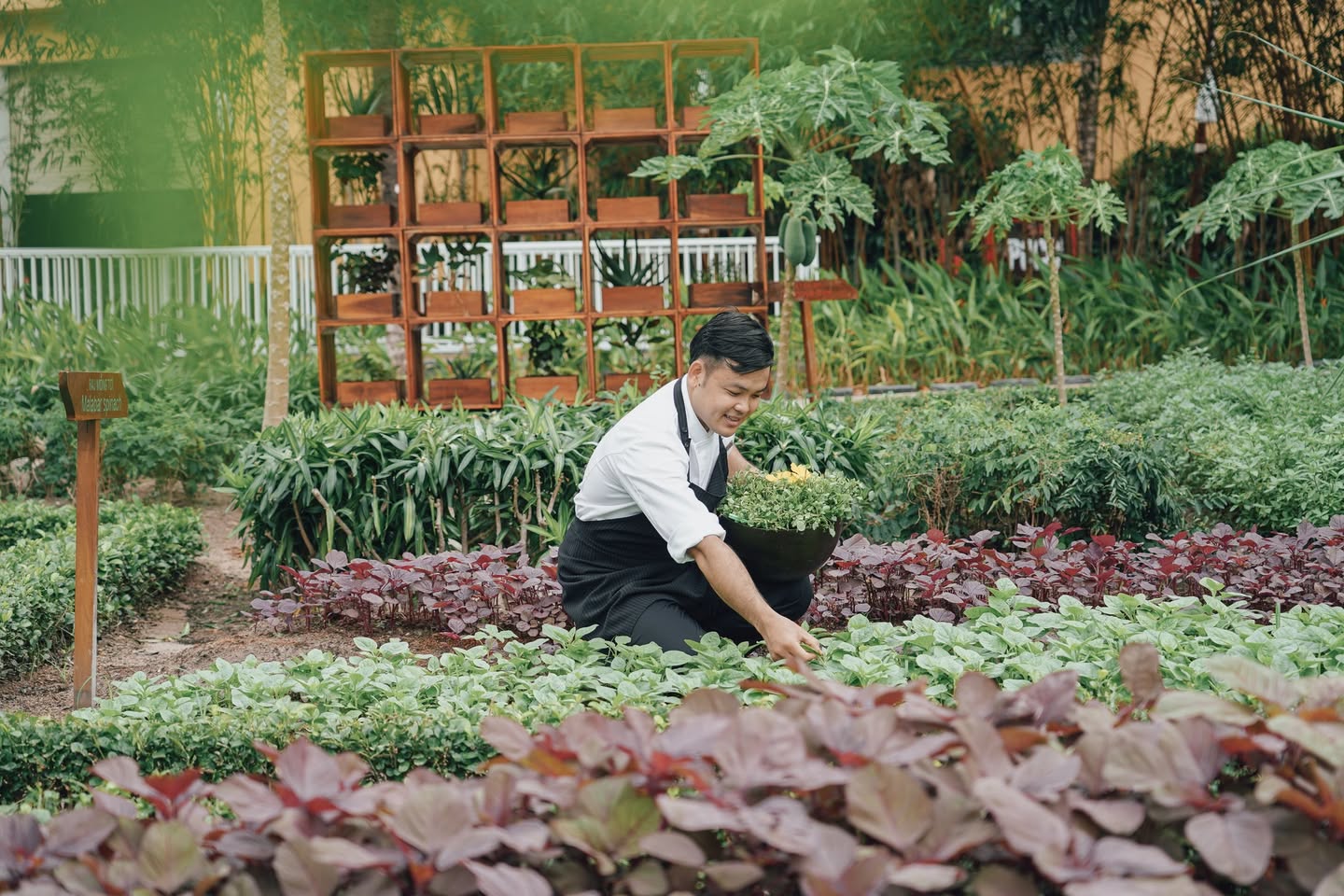 Sống Xanh - Không Nhựa