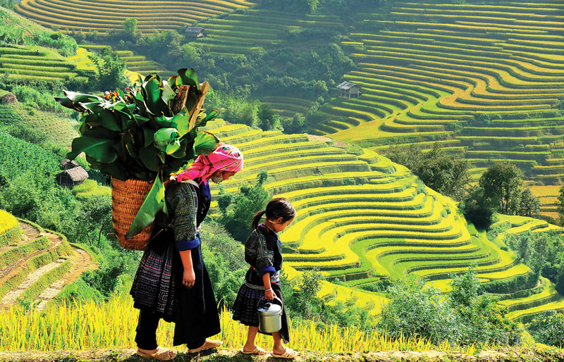 Phát triển bền vững