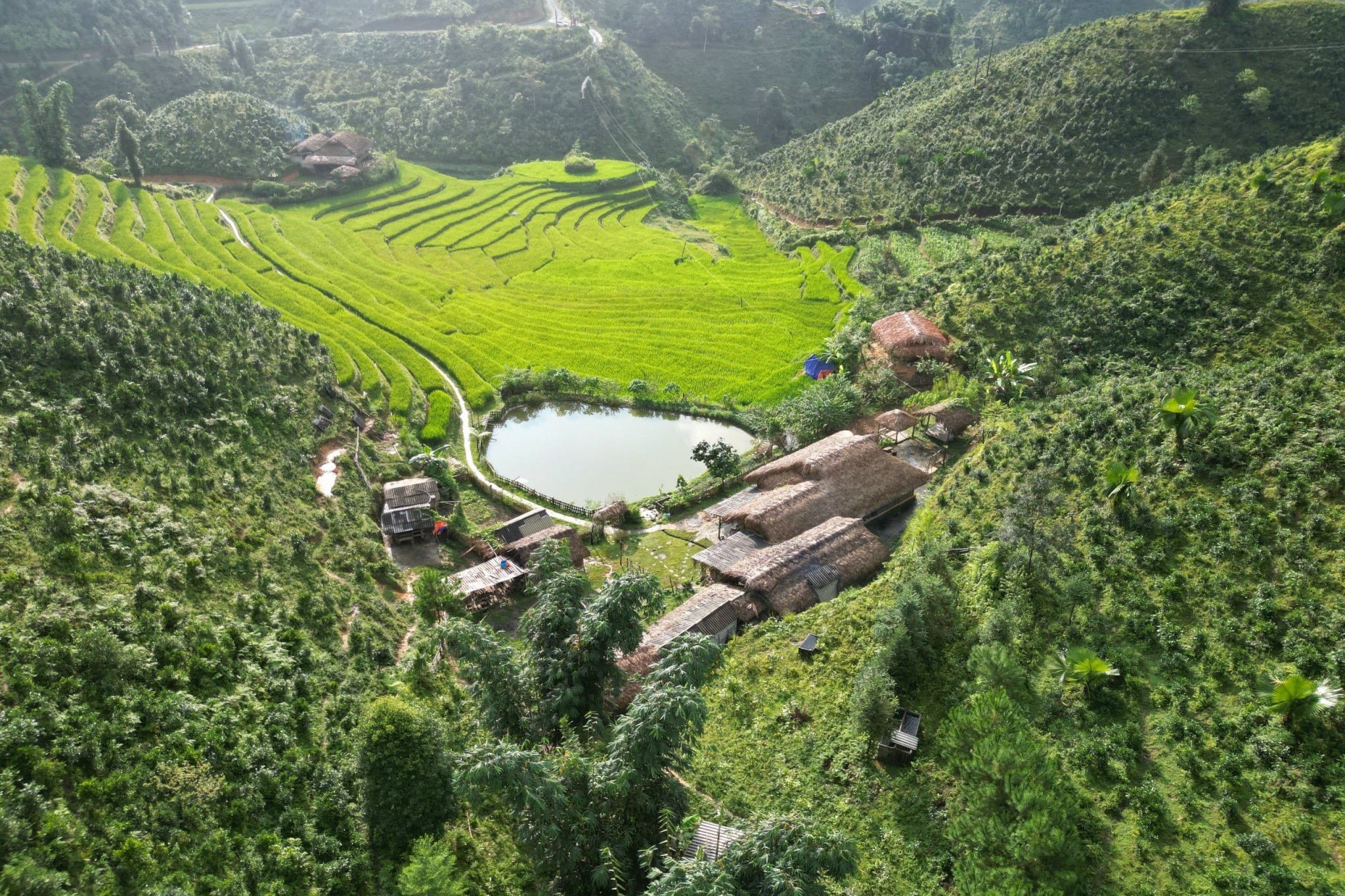 dulichcongdong