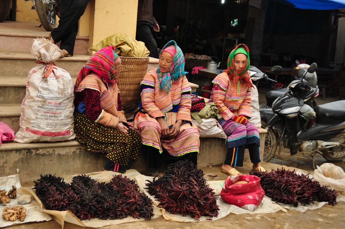 Phiên chợ Bắc Hà