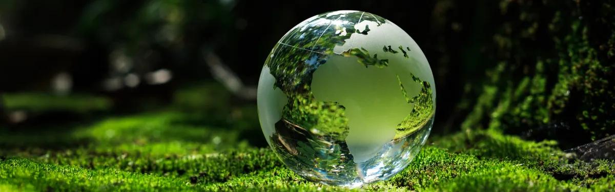 SDGs