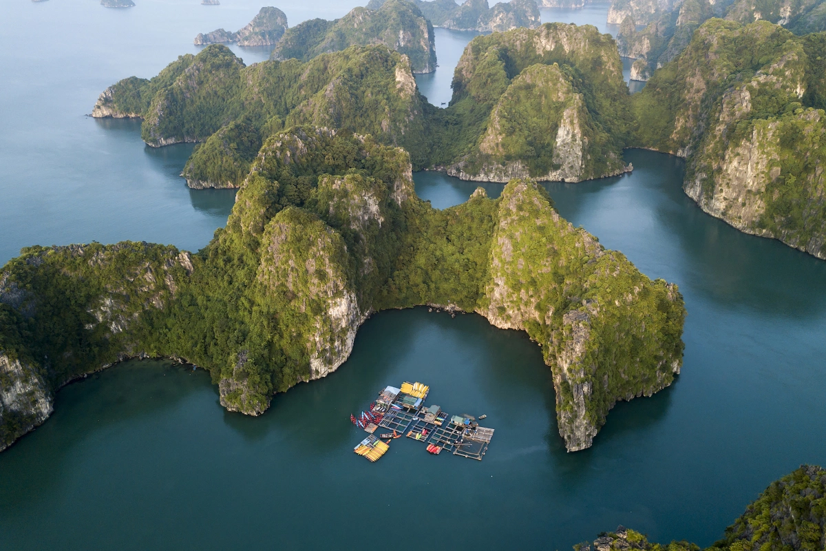 vịnh hạ long