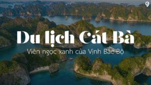 du lịch cát bà đại diện