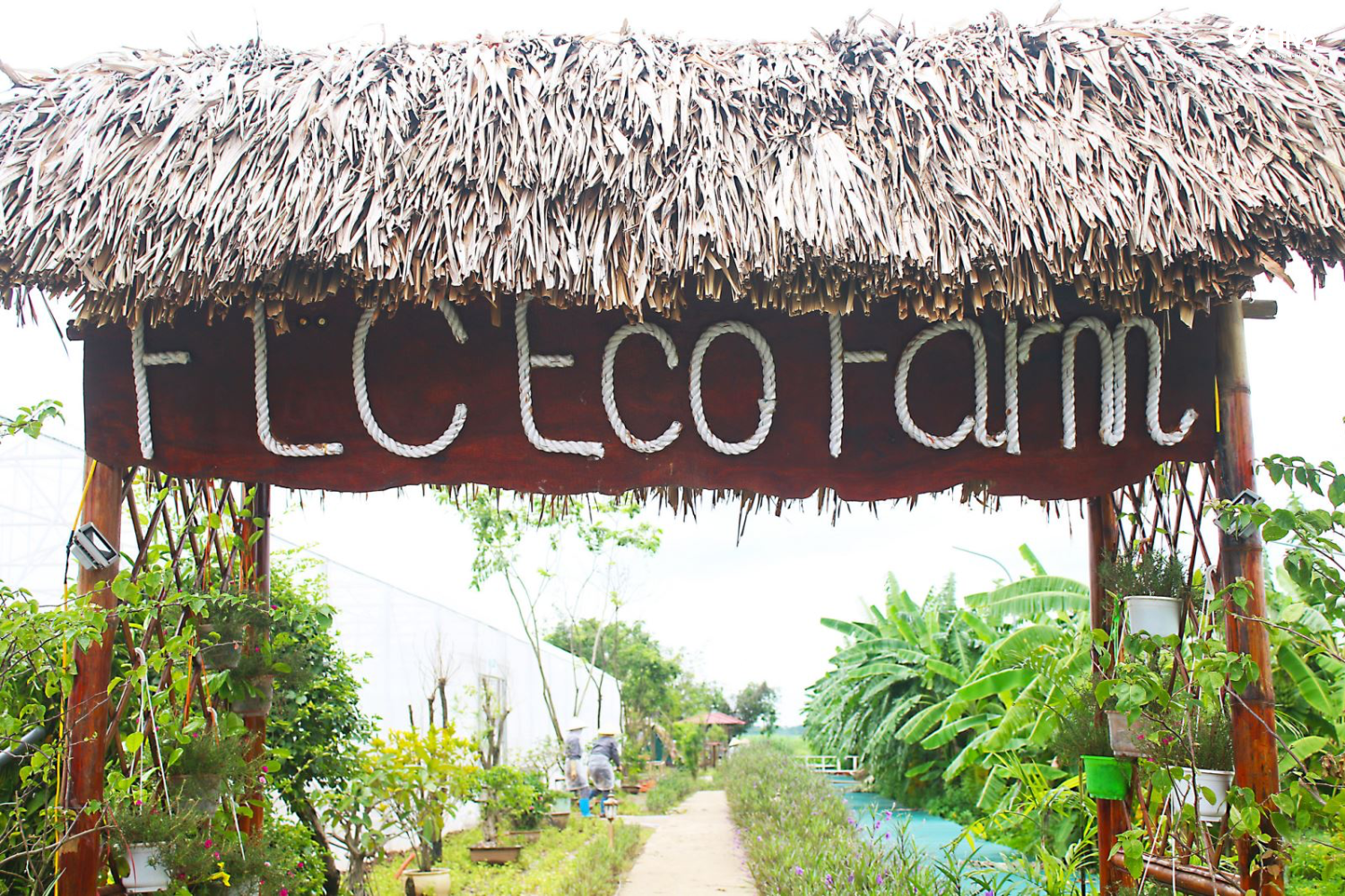 FLC Hotels and Resorts