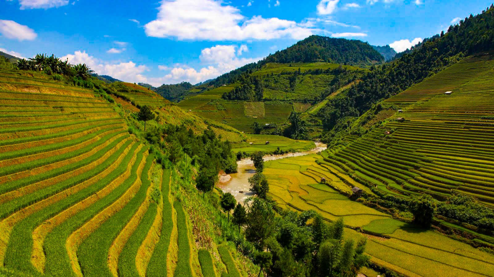 Dulichmucangchai
