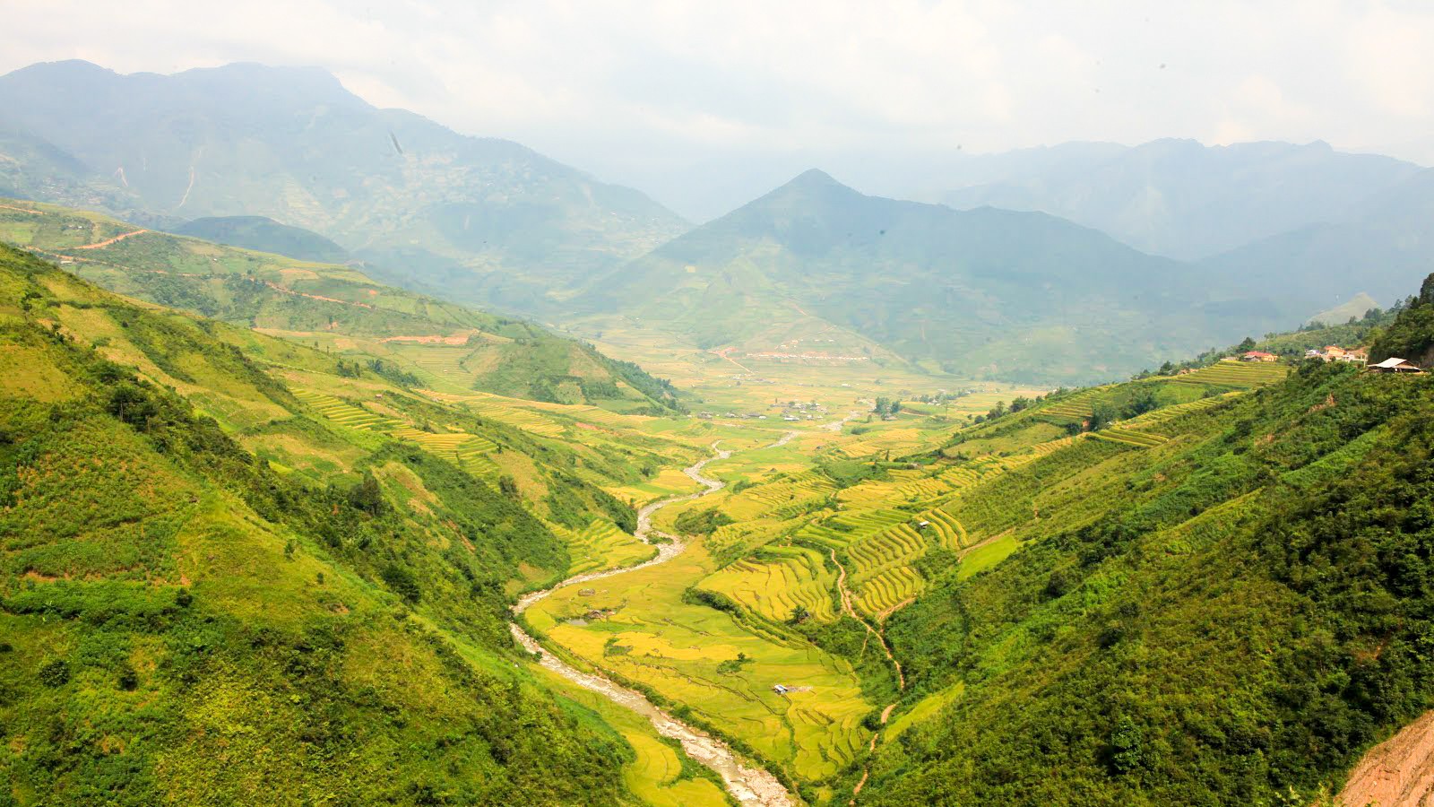 Dulichmucangchai