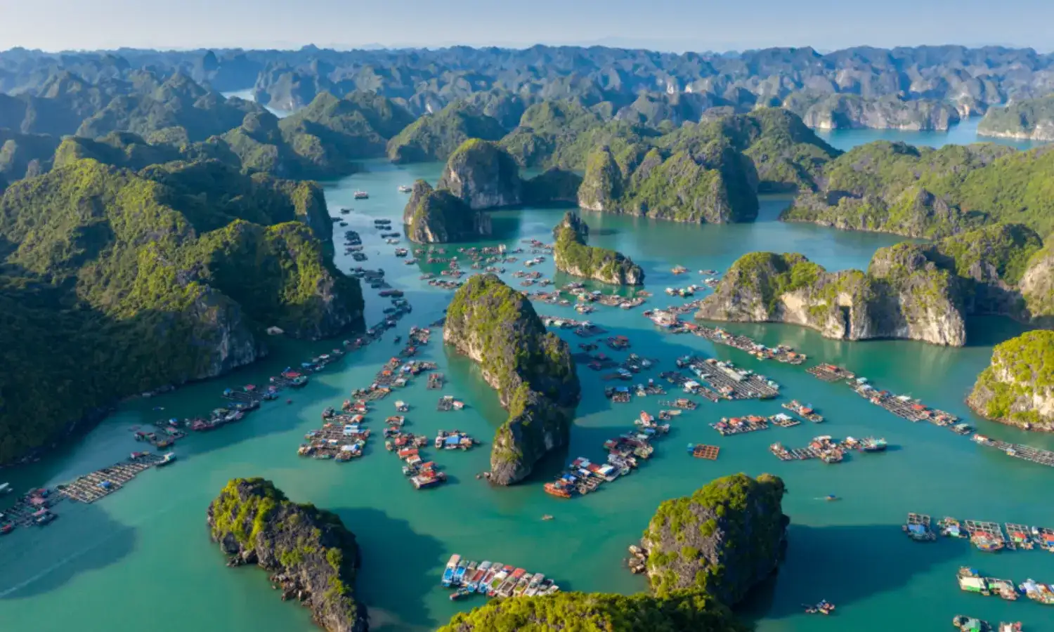 Việt Nam
