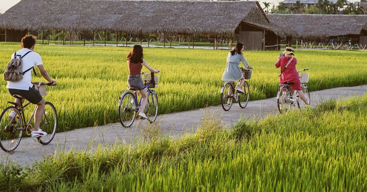 Việt Nam