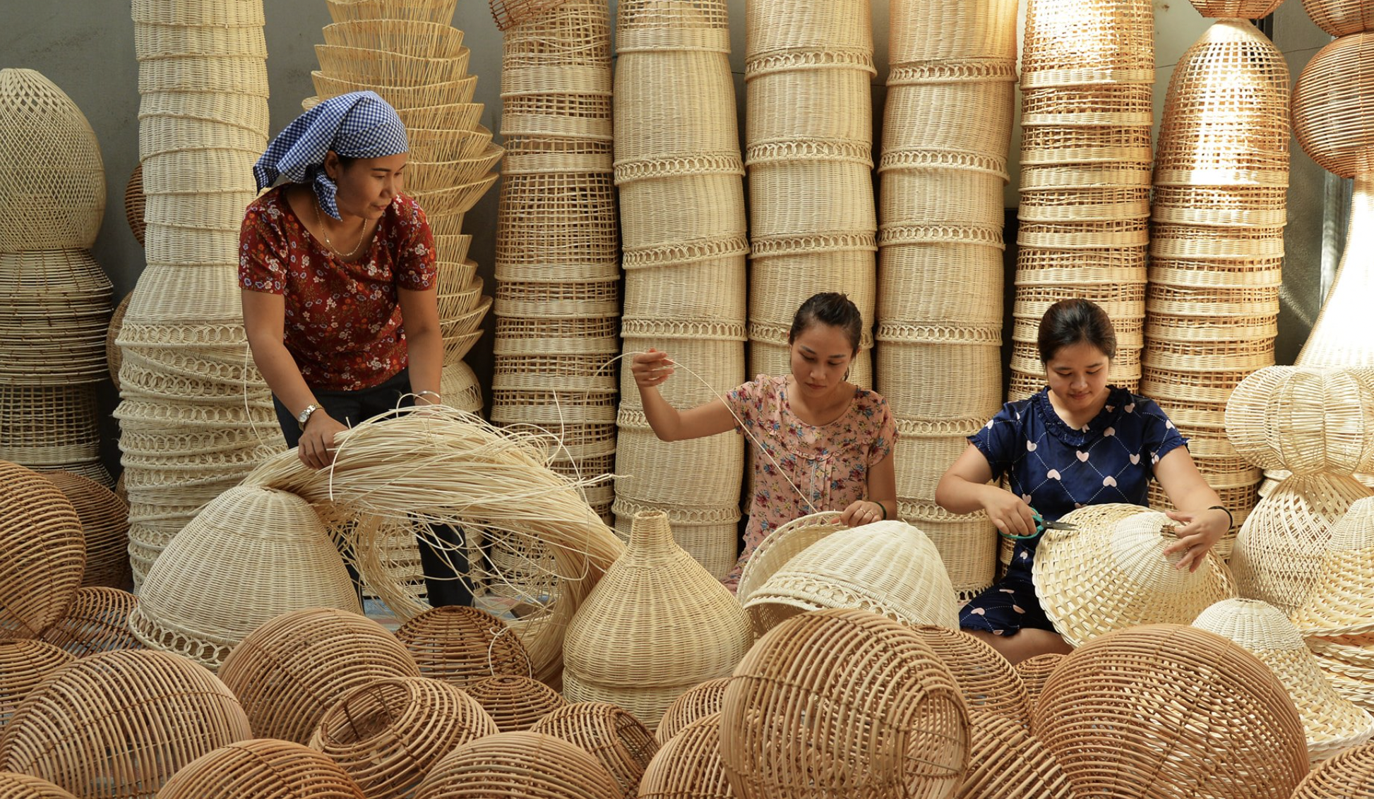 Phú Vinh