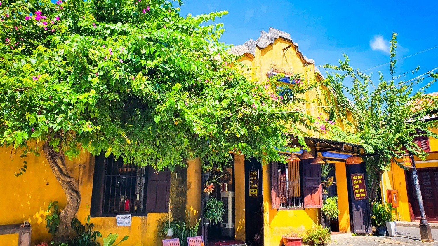 kientruccoVietNam